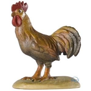 Gallo
