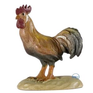 Gallo