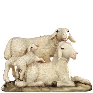 Gruppo di pecore con agnello