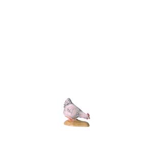 IN C.b.Gallina bianca