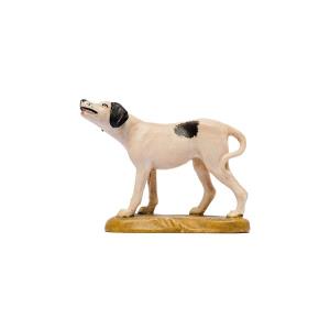 IN C.b.Cane - Pointer