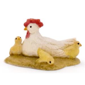Gallina con pulcini