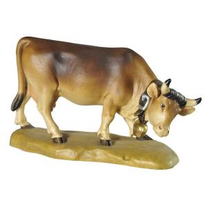Mucca