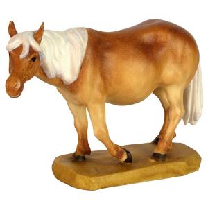 Cavallo