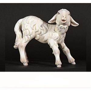 Agnello in piedi