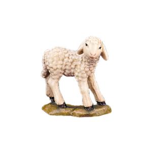 Agnello in piedi
