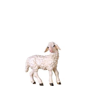 Agnello D.K.
