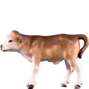Vitello D.K.
