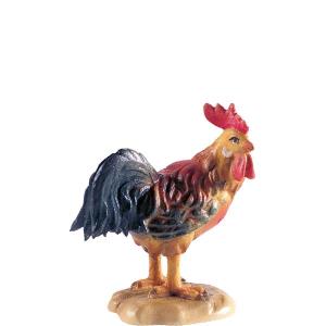 Gallo D.K.