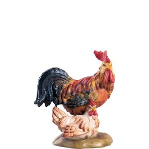 Gruppo gallo con gallina D.K.