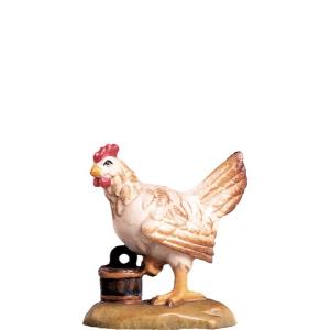 Gallina D.K.