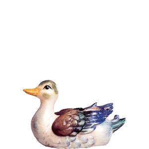 Anatra D.K. bianca