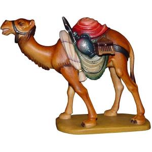 Kamel