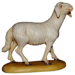 Schaf stehend
