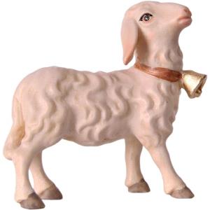 Pecora con campanello OTTO