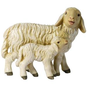 Pecora con agnello