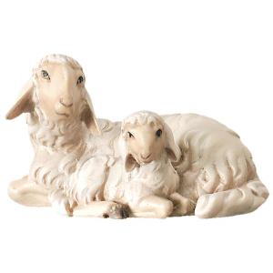 Group of 2 sheep lying