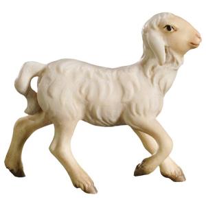 lamm laufend