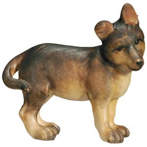 Cucciolo