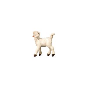 Agnello con testa a sinistra in su