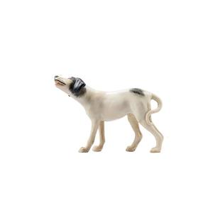 Cane Pointer