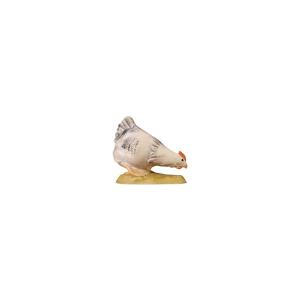 Gallina bianca