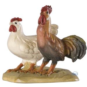 Group of cock and hen