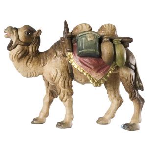 Camel with baggage