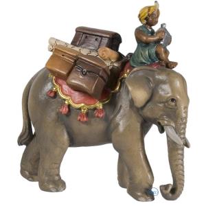 Elephant with baggage and driver