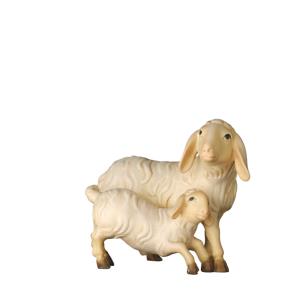 Sheep with lamb