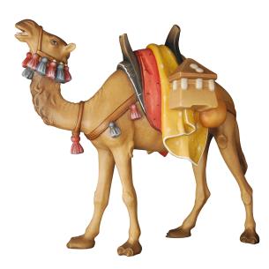 camel