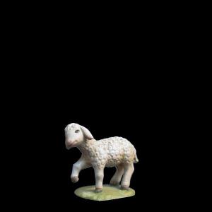Agnello