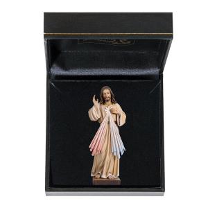 Divine Mercy with case