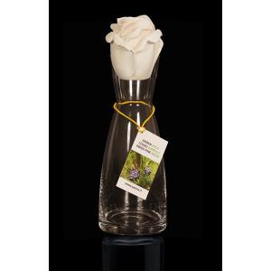 Carafe with pinewood rose