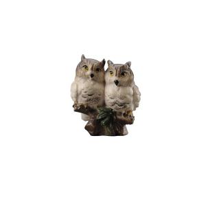 Pair of owl