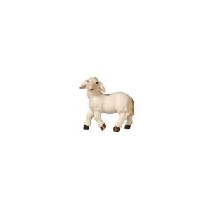 AD Agnello testa a sinistra