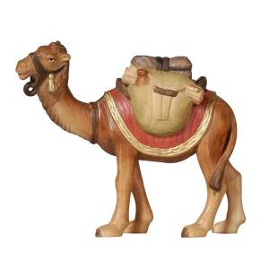 PE Camel with luggage