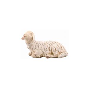 IN Pecora con agnello lattante