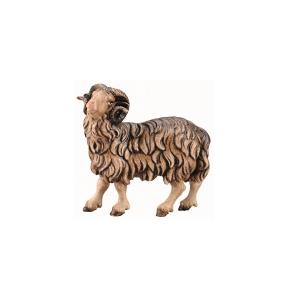 IN Ariete marrone