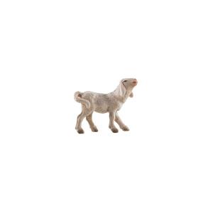 IN Agnello destro