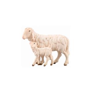 IN Pecora che corre con agnello