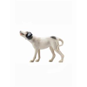 IN Hund Pointer