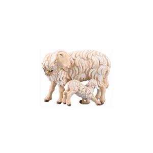 SI Pecora con agnello lattante