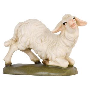 Kneeling Sheep