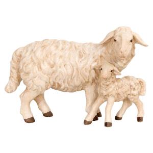Pecora in piedi con agnello