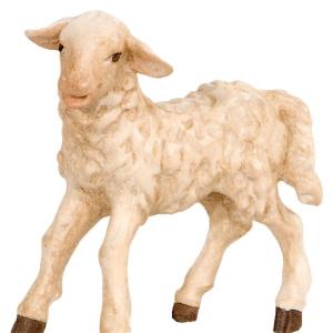 Agnello in piedi con sguardo rivolto a sinistra