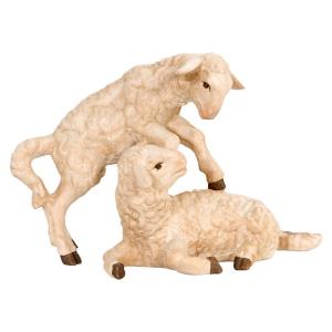 Gruppo di agnelli