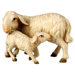 Pecora in piedi con agnello