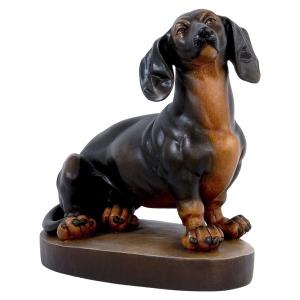 Dachshund