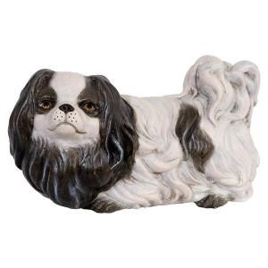 Pekinese